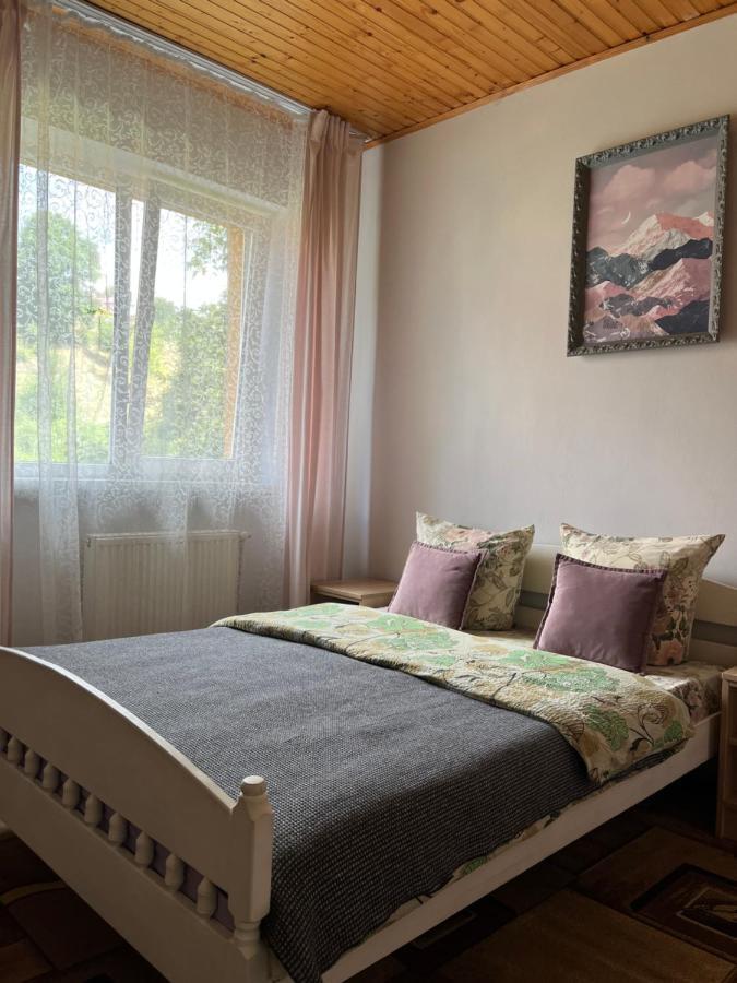 Hotel Ніч Над Карпатами Slavske Esterno foto